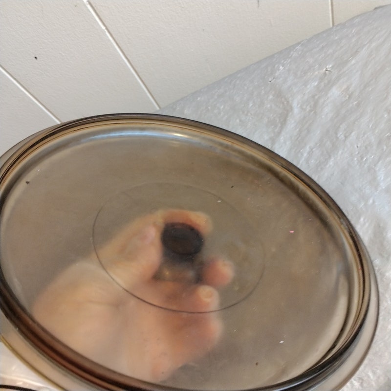 il_800xN.5796284907_cza8