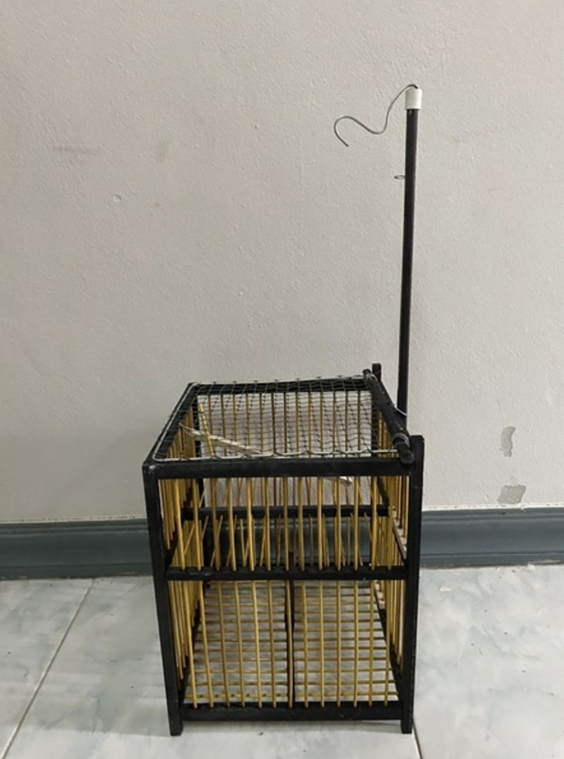 il_800xN.5883363483_64uk