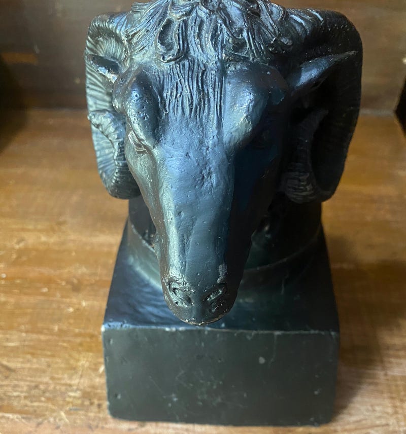 il_800xN.6182773296_pxv6