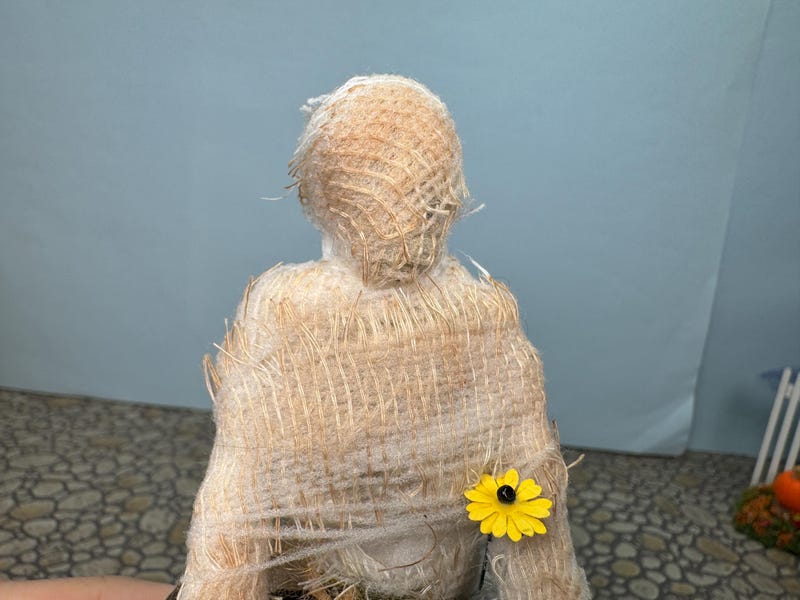 il_800xN.6185462238_2v8c