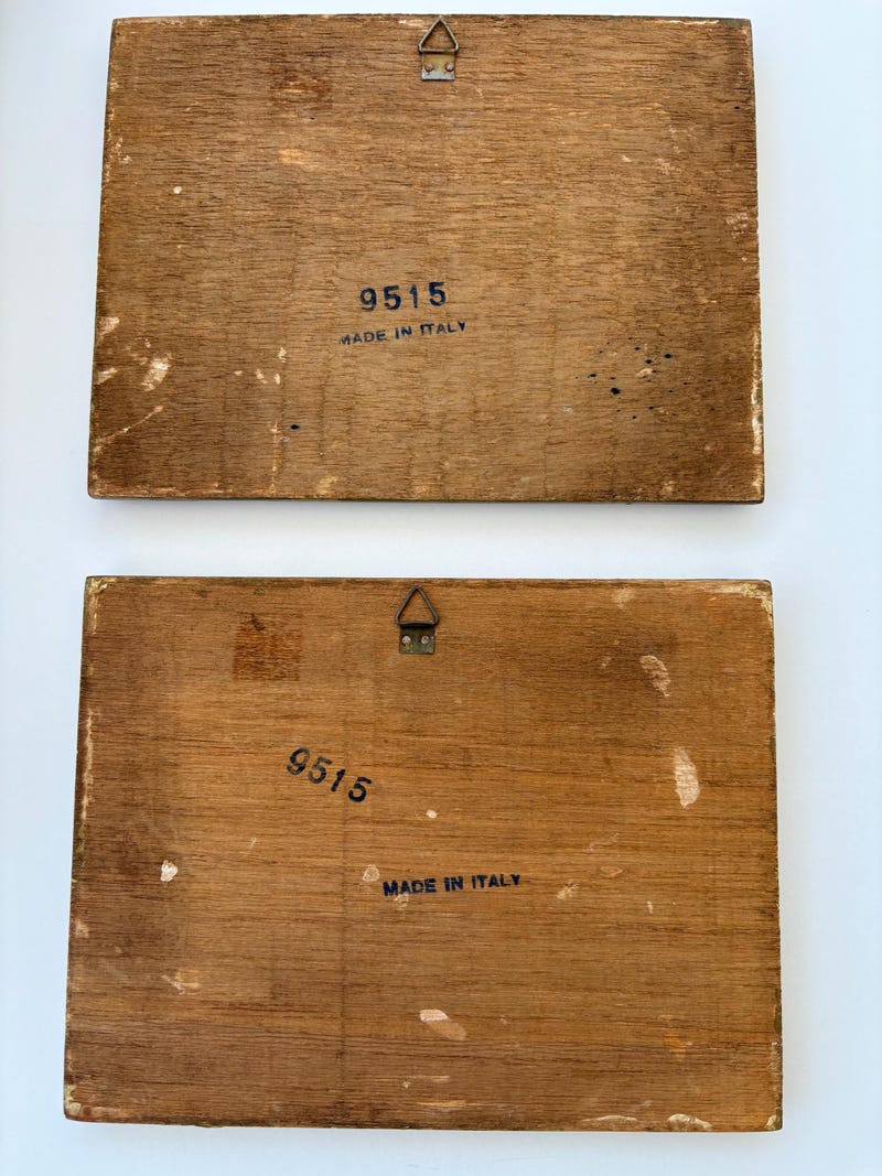 il_800xN.6231433821_siy1